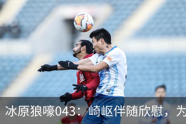 冰原狼嚎043：崎岖伴随欣慰，为爱发电，我们遗憾过吗？
